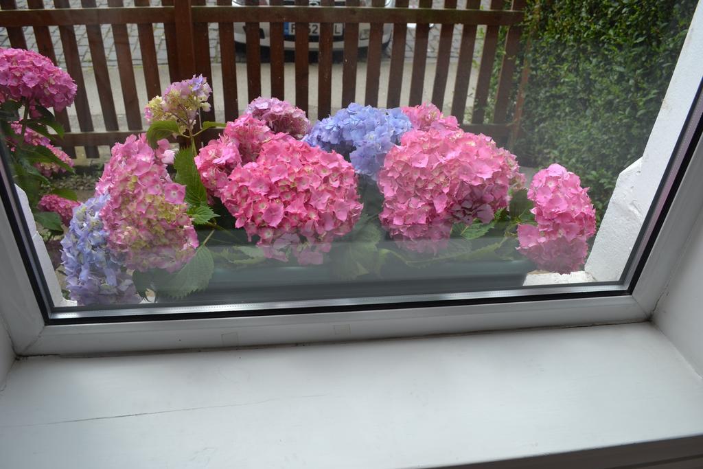 Pitt Street Apartment Beautiful Spacious Apartment Free Parking And Free Sanitizer Edinburgh Eksteriør billede